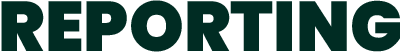 Reporting logo